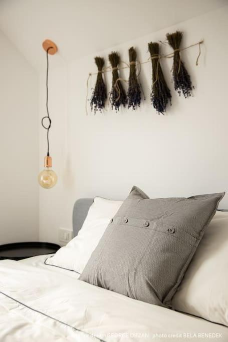 Casa269B - Cozy House With Scandinavian Design Moieciu de Jos Exterior photo